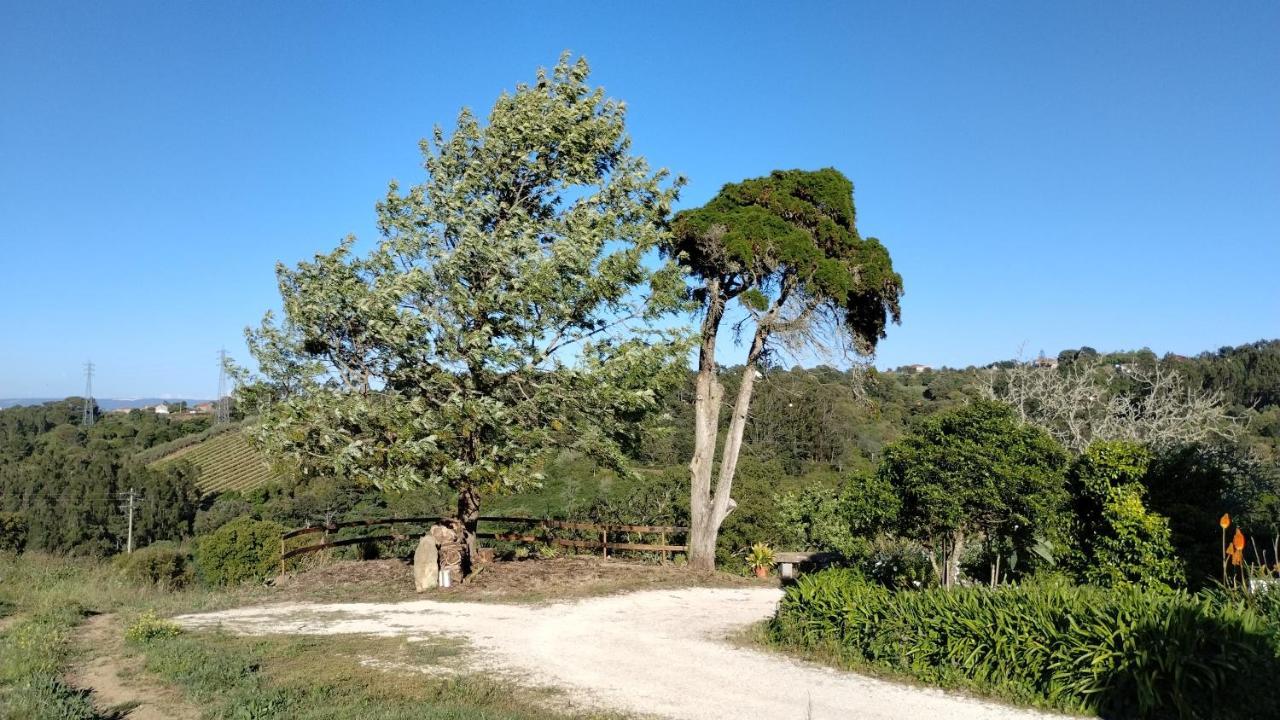 אובידוס Quinta Do Oratorio Agroturismo מראה חיצוני תמונה