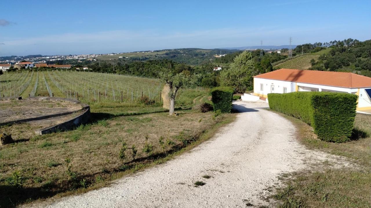 אובידוס Quinta Do Oratorio Agroturismo מראה חיצוני תמונה